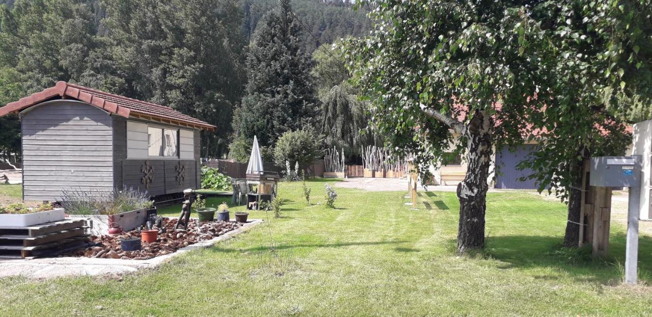 Gites, Les Jonquilles, Le Sagard Et Bungalow Les Brimbelles, Nature Et Detente La Houssiere Buitenkant foto